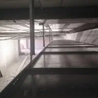 اجرای سقف کاذب و رنگ کناف|خدمات پیشه و مهارت|دوگنبدان, |دیوار