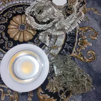 ریسه سوسماری و معمولی و چراغ سقفی