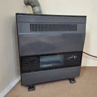 بخاری آدنیس