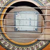 گیتار پارسه مدل M5نو|گیتار، بیس، امپلیفایر|گرمدره, |دیوار