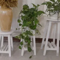 استند گلدان