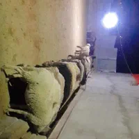 بره نره فروشی|حیوانات مزرعه|صمصامی, |دیوار