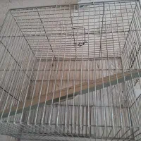 قفس پرنده