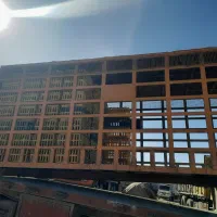 اتاق عقب تک مرغی