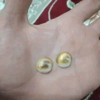 جفت و اصل
