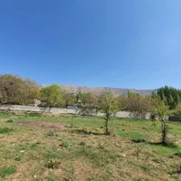 شش دانگ زمین چهار دیواری دشت مشا دماوند|فروش زمین و ملک کلنگی|آبعلی, |دیوار