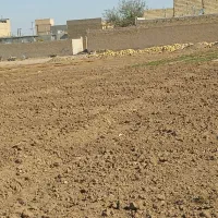 زمین فروشی|فروش زمین و ملک کلنگی|کاشمر, |دیوار