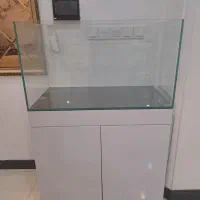اکواریوم پایه شیشه و سنگ و شن