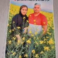 زیبایی را با ما تجربه کنید|فرش|نجف‌آباد, سعدی|دیوار