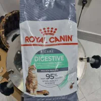 غذای دایجستیو گربه