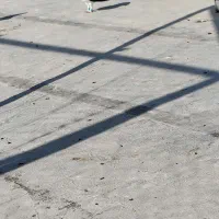 شهری طوقی طوسی|پرنده|خرمشهر, |دیوار