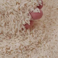 هاشمی   ۲۷کیلو تازه کوبیده از دست کشاورز|خوردنی و آشامیدنی|رشت, پل تالشان|دیوار