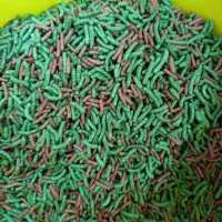 غذا ماهی به صورت باز
