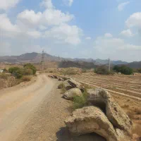 فروش ۲ هکتار زمین کشاورزی با چاه آب نزدیک خیابان|فروش دفتر صنعتی، کشاورزی، تجاری|میناب, |دیوار