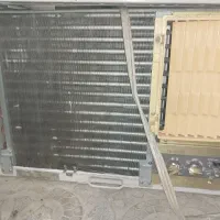 جنرال اصلی قیمت مناسب