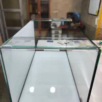 آکواریوم های ریملس در ابعاد مختلف|ماهی|رشت, پستک|دیوار