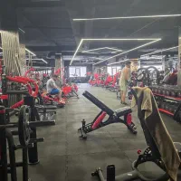 اشرفی ۴۹۰ متر تجاری مناسب خدمات و واردات خودرو