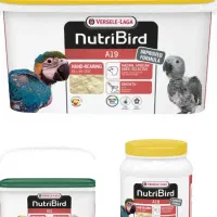 فروش انواع سرلاک طوطی خارجی به قیمت عمده