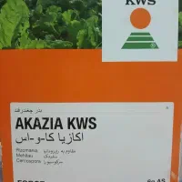 بذر چغندر