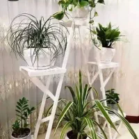 تولید و پخش جاگلدانی و استند|گل و گیاه طبیعی|دلیجان, |دیوار