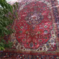 فرش|فرش|ارومیه, |دیوار