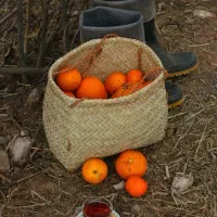 جویای کار هستم