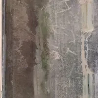 ماهی لوازم آکواریوم وسایل معاوضه با همه مدل گوشی