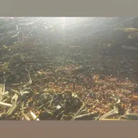 کنجد.فراشبند.جنس عالی و خوب