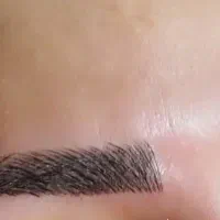 میکروپیکمنتیشن