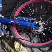 دوچرخه 26 و16 دارم برای فروش دالکی|دوچرخه، اسکیت، اسکوتر|برازجان, |دیوار