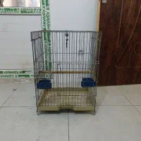 قفس کاسکو. مینا