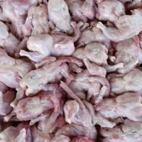 مرغ تازه سالم برای سگ و گربه