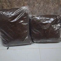 خاک بستر حلزون|خزنده|تهران, بلوار کشاورز|دیوار