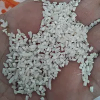 برنج طارم فریم دشت