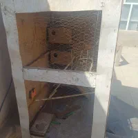 قفس چوبی