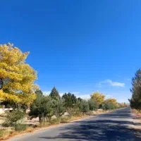 کلید دار ویلا استخر دار .در هفت باغ،ابیاری و هرس