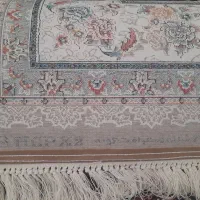 فرش ۶ و ۹و ۱۲ متری نگین طلایی مشهد|فرش|کرمانشاه, |دیوار