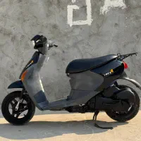 موتور پاکشتی سوزوکی لتس فور|موتورسیکلت|لامرد, |دیوار