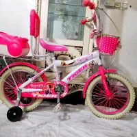 دوچرخه دختر پسرانه سایز 16و 20 درحد نونو کادویی
