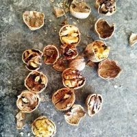 گردو معمولی|خوردنی و آشامیدنی|شاهین دژ, |دیوار