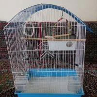 قفس پرنده|لوازم جانبی حیوانات|سنندج, |دیوار