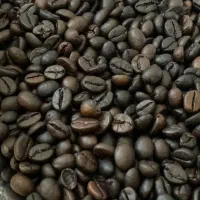 پخش قهوه