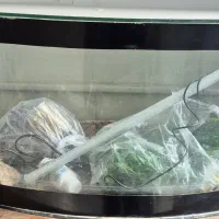 اکواریوم|ماهی|قم, باجک دو|دیوار