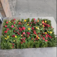 خدمات باغبانی هرسکاری کودهی بیل.زنی|خدمات باغبانی و درختکاری|پرند, فاز ۲|دیوار