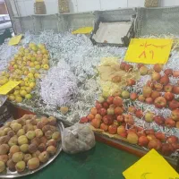 پالت میوه فروشی|حراج|کرج, حصارک بالا|دیوار