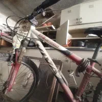 دوچرخه حرفه ای ویوا|دوچرخه، اسکیت، اسکوتر|گرگان, |دیوار