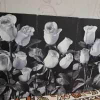 تابلو عکس سه تکه