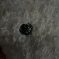 عروسک خرسی بزرگ|اسباببازی بچه|مشهد, ولیعصر (شهرک غرب)|دیوار