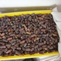 فروش خرما