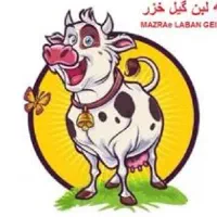 استخدام